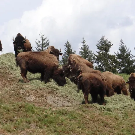 Le Bruissement Bed & Breakfast 3*