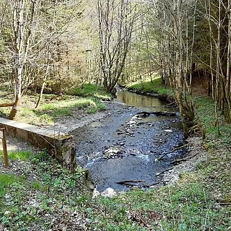 Le Bruissement Bièvre